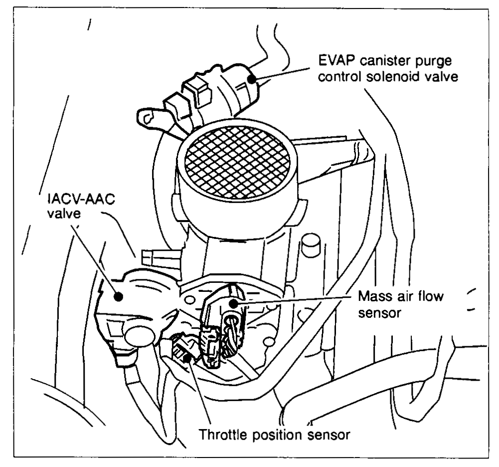 Close-up of throttle body area showing EVAP canister purge control solenoid valve, IACV-AAC valve, Mass air flow sensor, Throttle position sensor.